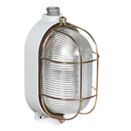 831092 RINO OVAL LIGHTING FIXTURE IN ALUMINIUM 60W 1 LAMPHOLDER E27 INLETS 2X1/2" CAGE